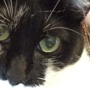 Meet your Posher, Donna